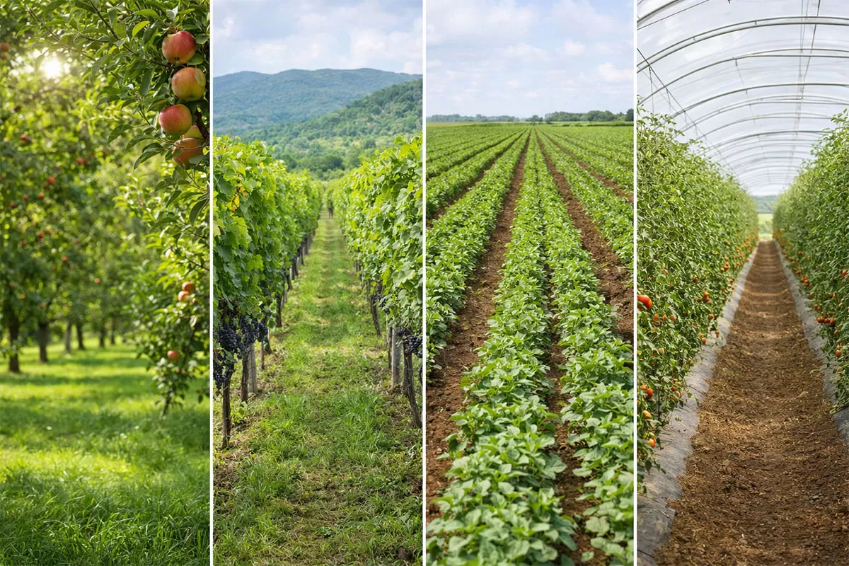 Precision Crop Protection & Spraying Precision Crop Protection & Spraying